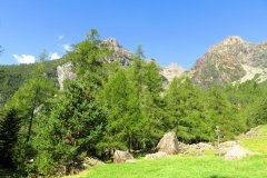 IMG_0024