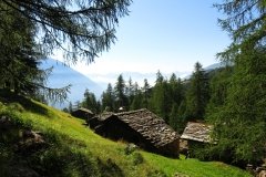 IMG_0029