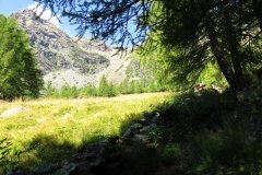 IMG_0034