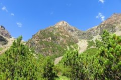 IMG_0048