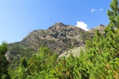 IMG_0050