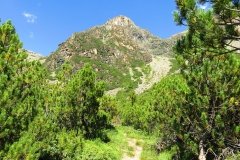 IMG_0051