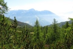 IMG_0059