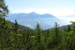 IMG_0060
