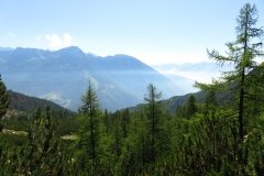 IMG_0063