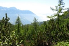 IMG_0064