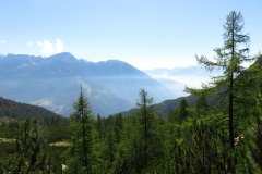 IMG_0066