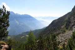 IMG_0105