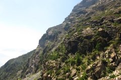 IMG_0117