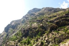 IMG_0118
