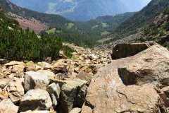 IMG_0128