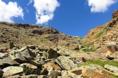 IMG_0144