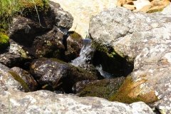 IMG_0163