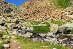 IMG_0169