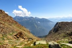 IMG_0203