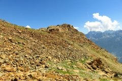 IMG_0206