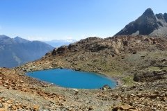 IMG_0282
