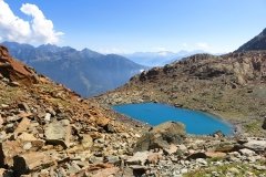 IMG_0290
