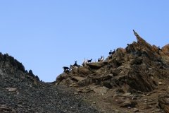 IMG_0326