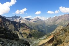 IMG_0341