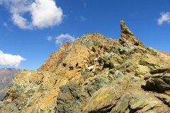 IMG_0343