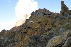 IMG_0382