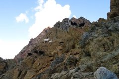 IMG_0396