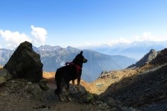 IMG_0416