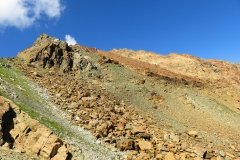 IMG_0429