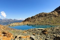 IMG_0456