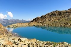 IMG_0465