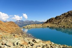 IMG_0466