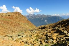 IMG_0497