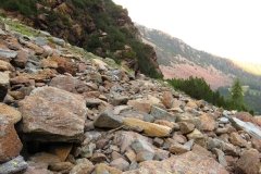 IMG_0521