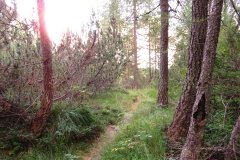 IMG_0539