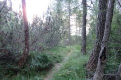 IMG_0541
