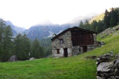 IMG_0546