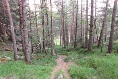 IMG_0550