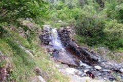 IMG_0553