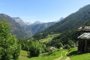 IMG_0010