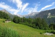 IMG_0014