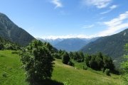 IMG_0018