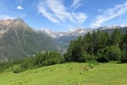 IMG_0026