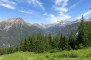 IMG_0028