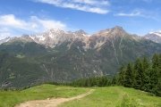 IMG_0031