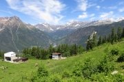 IMG_0037