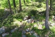 IMG_0051