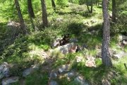 IMG_0052