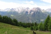 IMG_0066