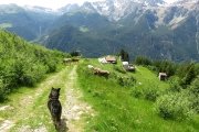 IMG_0071
